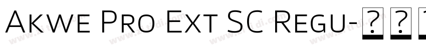 Akwe Pro Ext SC Regu字体转换